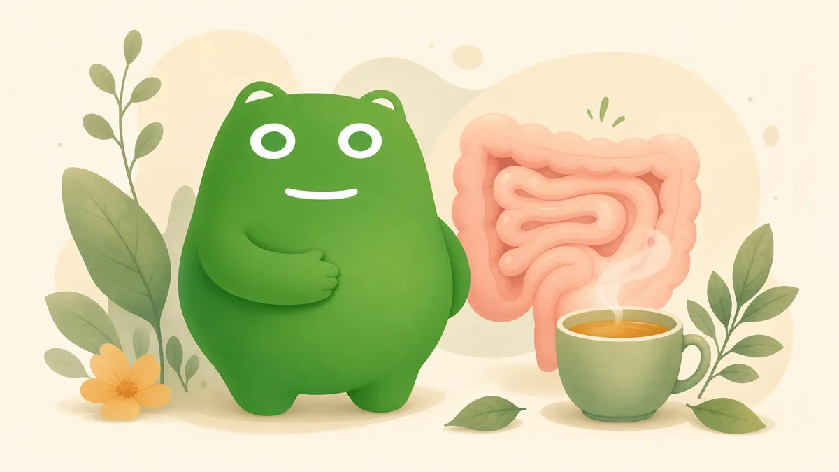 Bloating and Constipation: Why They Happen Together